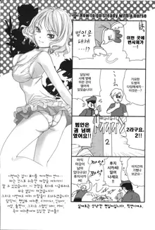 Nurse o Kanojo ni Suru Houhou - How To Go Steady With A Nurse 2, 한국어