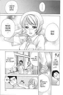 Nurse o Kanojo ni Suru Houhou - How To Go Steady With A Nurse 2, 한국어