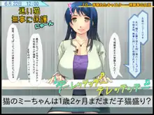 24時間以内にHしないと女は爆発する社会 ～ご都合エロウィルス爆誕～, 日本語