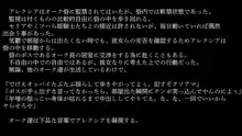 りょーじょくファンタジー企画(3)はじめてみました, 日本語