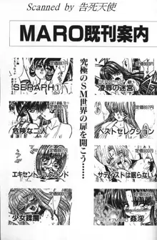 Seraph Vol 1, 日本語