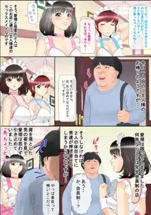 いいなりメイドとやり放題, 日本語