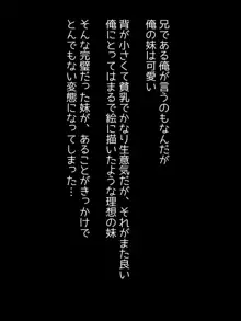 俺の可愛い生意気妹が、痴漢にアナルをいじられて帰ってきた模様＊, 日本語