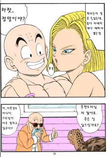 DragonBall H Maki San, 한국어