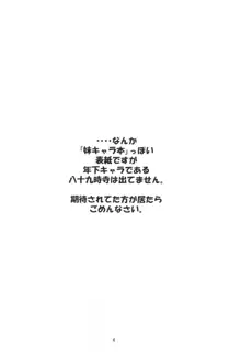 兄ちゃんはそんなことだから, 日本語