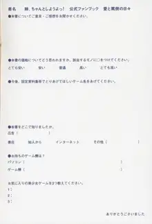 姉、ちゃんとしようよっ！ 公式ファンブック 愛と罵倒の日々, 日本語