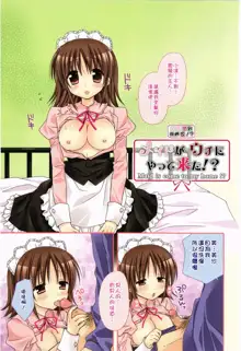 Ore no Kanojo ga Maid de Yome de, Iroiro Nandemo Shichaimasu, 中文