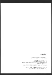 えぇ・・・提督 こ これ着てするんですか?, 日本語