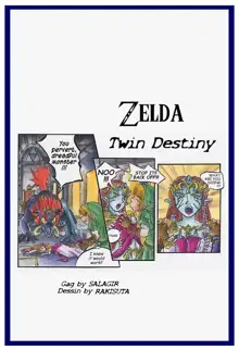 Zelda Twin Destiny (passage) ENGLISH, English