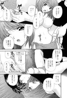 お嬢様と海の迷宮, 日本語