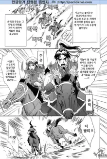 In Sangoku Musou 2, 한국어