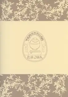 翔鶴瑞鶴のご奉仕メンテナンス, 日本語