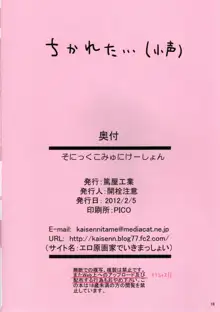 そにっくこみゅにけーしょん, 日本語