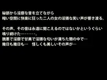 悪堕ちた艦改～ニセキメノフネ～, 日本語