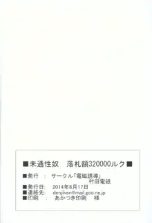 未通性奴 落札額320000ルク, 日本語