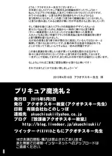 プリキュア魔洗礼2, 日本語