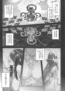 Tales of BloodPact Vol.2, 中文