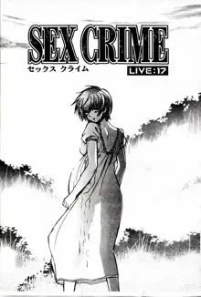 SEX CRIME 3, 中文