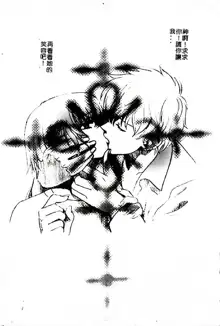 SEX CRIME 3, 中文