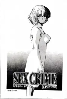 SEX CRIME 3, 中文