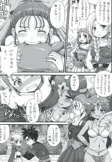 DQデリヘルヒーローズ～好色王とフリーセックスの城～, 日本語