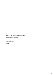 親にナイショの家出ックス, 日本語