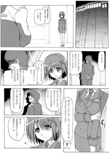 はやて隊長夜のお仕事, 日本語