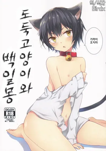 Nora Neko to Hakuchuumu, 한국어