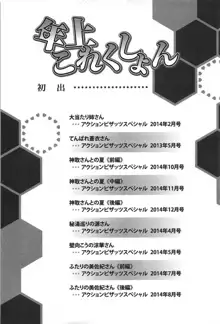 年上これくしょん, 日本語