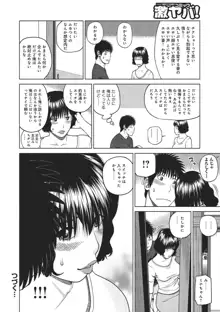 37歳 欲しがり妻, 日本語