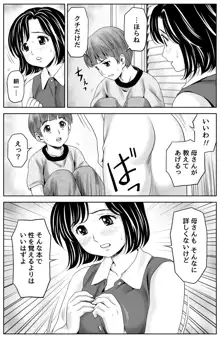 母さんの性教育, 日本語