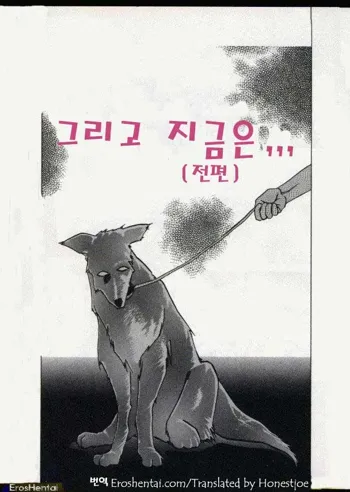 Kindan no Houteishiki | 금단의 방정식, 한국어