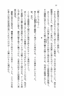 ライトニング・サーガII 女傭兵の空, 日本語