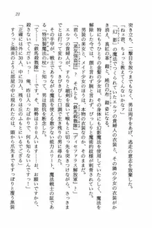 ライトニング・サーガII 女傭兵の空, 日本語