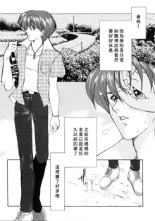 Junjou Karen - Pure Hearted and Vicious Love, 中文