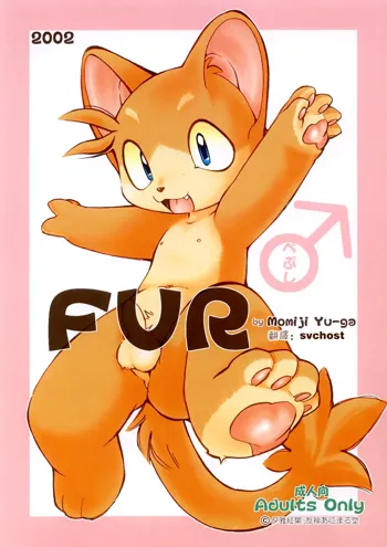 FUR, 中文