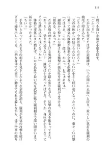 目覚めると拳銃乙女を護る美少女拳士になっていた, 日本語