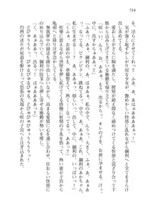 目覚めると拳銃乙女を護る美少女拳士になっていた, 日本語