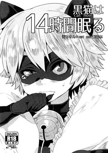 Cat Noir wa 14-jikan Nemuru, English