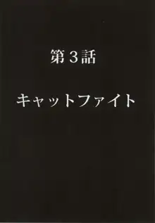 ｸﾘﾑｿﾞﾝﾌﾟﾘｽﾞﾝ第三話, 日本語