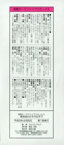 気分はビビデバビデブ, 日本語