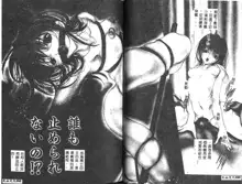 Haitoku no Scenario, 中文