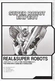 SUPER ROBOT OPERATION 01, 日本語