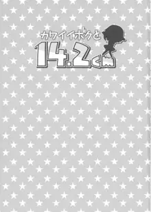 カワイイボクと14.2cm, 日本語