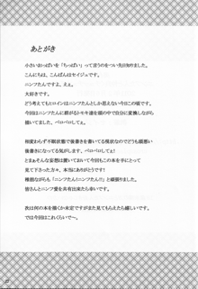 ニンフたんと仲良くチュッチュする本, 日本語