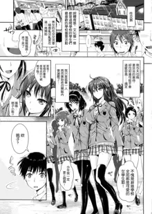 Seikousai - School Love Festival + Toranoana Gentei 8P Shousasshi, 中文