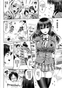 Seikousai - School Love Festival + Toranoana Gentei 8P Shousasshi, 中文