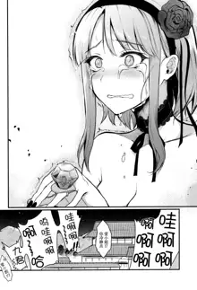 Otona no Dagashi 3, 中文