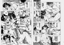 Hatsujou Fujin Etsuraku no Gogo, 中文