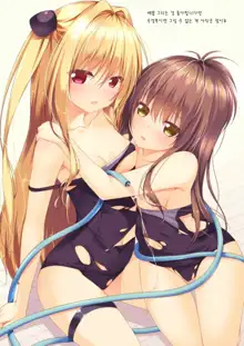 To LOVE-Ru Bon, 한국어